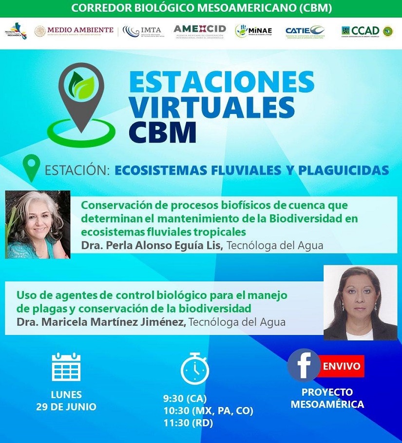 imta2